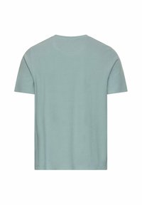 Enkelt, lysegrønt kortærmet bomulds-t-shirt vist bagfra med rund halsudskæring og uden synligt design eller logo.