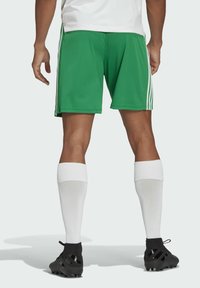 Groene sportshorts met witte zijstrepen, gedragen met witte kniehoezen en zwarte voetbalschoenen, gezien van achteren.