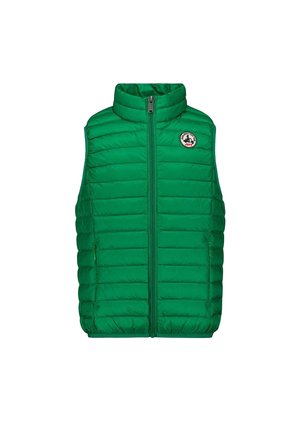 SANS MANCHES TROPICAL ZOE - Gewatteerde jas - vert