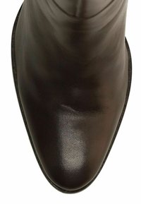 Botte en cuir marron montée jusqu'au genou avec une finition lisse, un bout pointu et un design minimaliste. Pas de matériel ou d'embellissements visibles.
