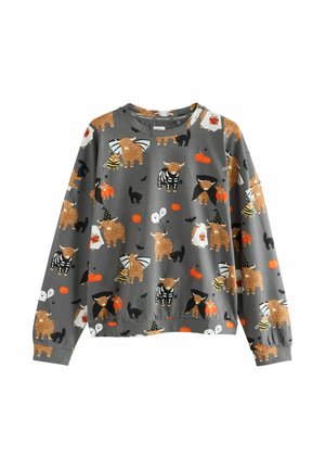 Gray sweatshirt featuring a whimsical pattern of animals, pumpkins, and ghosts. Made of soft fabric, with long sleeves and a round neckline.