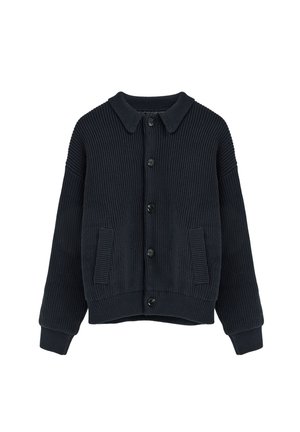 Polo Club, PULLOVER MAN CARBONE LONG SLEEVE LOOSE FIT - Chaqueta de punto - navy
