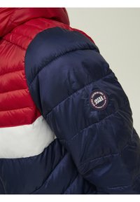 Vadderad jacka med röd, vit och marinblå färgkombination. Har en logopatch på den marinblå ärmen. Slät, glänsande tyg med quiltad textur.