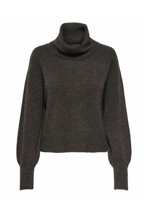 ONLY, ONLOLIVIA LS ROLL NECK CC KNT - Pullover - mole