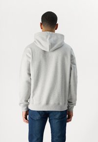 Diesel ROB DOVAL - Felpa con cappuccio - grey