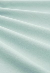 TOM TAILOR LOGO  - Triko s potiskem - white moss
