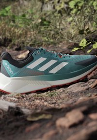 Hellblauer und schwarzer Adidas Terrex Trailrunning-Schuh ruht auf felsigem Boden mit grünen Pflanzen im Hintergrund.