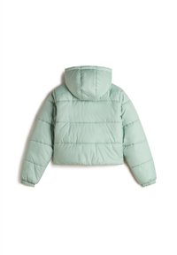 Vans HILLGATE CROPPED PUFFER - Giacca invernale - olive