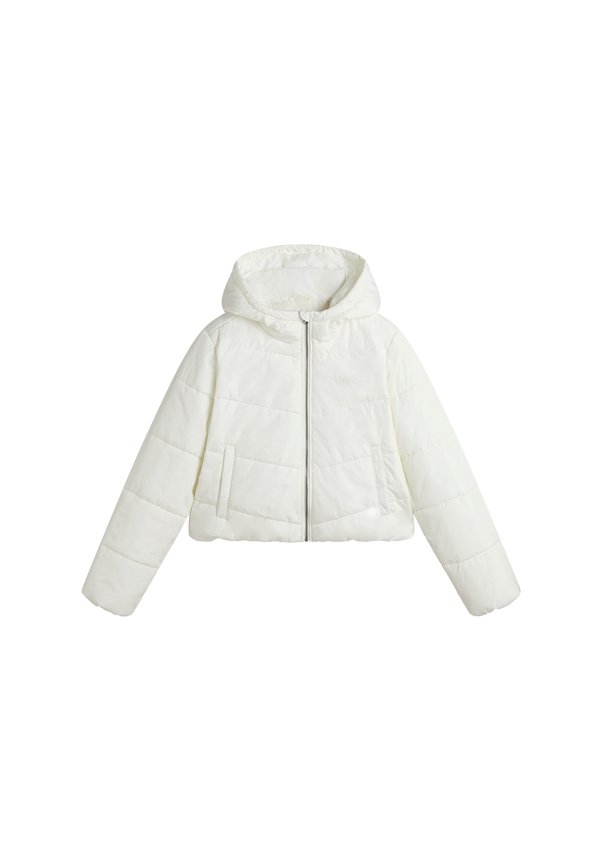 FOUNDRY CROP - Winterjacke - marshmallow