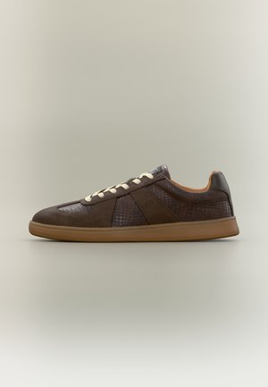 Steve Madden, WALTOR - Baskets basses - brown