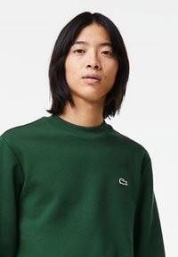 Grøn sweatshirt lavet af blødt stof, med rund hals og lange ærmer. Indeholder et lille, broderet logo på venstre bryst.