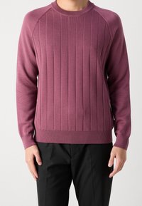 Homme portant un pull en maille mauve à manches longues et un pantalon noir, montré du cou aux hanches, se tenant devant un fond uni.