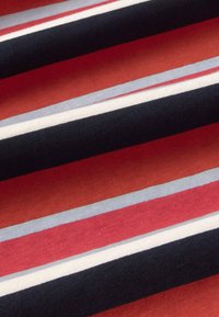 Tissu avec des rayures horizontales en noir, rouge, blanc et bleu clair.