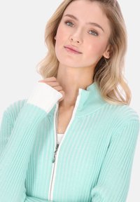Pulover cu fermoar, verde mentă deschis, cu dungi, guler înalt și mâneci cu accente albe. Are o textură netedă și fermoar argintiu.