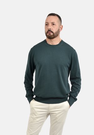 Uomo con capelli corti e scuri e barba, che indossa un maglione verde scuro a maniche lunghe e pantaloni beige chiaro, in piedi con le mani in tasca.