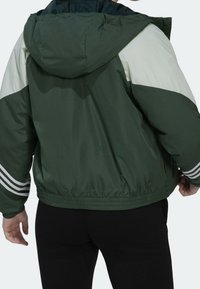 Vihreä-voikreeminvärinen värilohkoinen takki hupulla, joustavalla vyötäröllä ja valkoisilla raidoilla hihoissa. Valmistettu sileästä, kevyestä materiaalista.