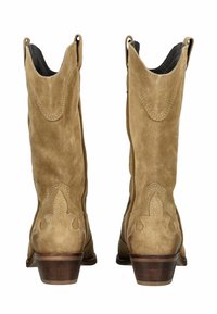 Bottes de cowboy en daim marron avec un bout pointu et un haut incurvé, ornées de coutures décoratives et d'un talon en bois empilé.