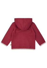 Roter Hoodie mit grauem Saum. Besitzt eine weiche Textur, lange Ärmel und eine Kapuze. Die Rückseite hat ein einfaches Design und ein Etikett an der Seite.