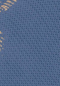 Blauwe mesh stof met een fijne, gestructureerde weving; heeft een subtiel gouden accentpatroon aan één rand, wat zorgt voor een contrast in kleur en ontwerp.