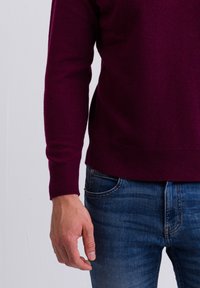 CASH-MERE RUNDHALS  - Maglione - cranberry rot