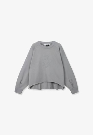 Sweat-shirt gris clair avec un col rond, des manches raglan, un ourlet court, et un logo DALS subtil brodé à l'avant. Texture de tissu douce.