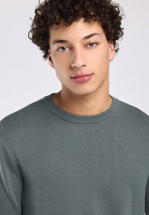 Jonge man met krullend donker haar, draagt een grijze gebreide trui met ronde hals, kijkt frontaal met een neutrale uitdrukking tegen een effen lichte achtergrond.