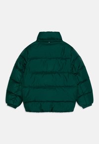 Chaqueta acolchada verde, aislada con un alto collar, presenta secciones acolchadas horizontales, puños elásticos y una tela de nylon suave y brillante.