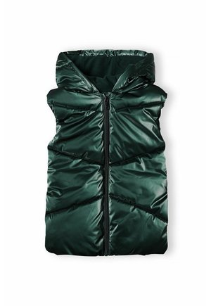 LONG PUFFER WITH HOOD - Vest - evergreen