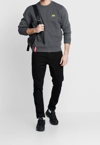 Alpha Industries Sudadera - grey