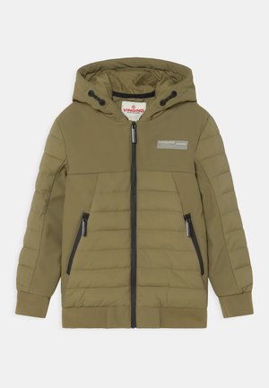 TELMO - Winter jacket - light moss