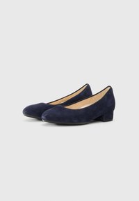 Bailarinas de camurça azul-marinho com um leve salto, bico arredondado e interior suave. Apresentam um design minimalista e uma textura macia.