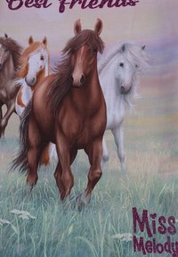 Quattro cavalli di vari colori, tra cui marrone, bianco e con motivi maculati, sono posizionati su uno sfondo erboso con la scritta "Migliori Amici" sopra.