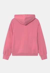 Felpa con cappuccio morbida e rosa chiaro vista dal retro, con maniche lunghe e polsini e orlo a costine.