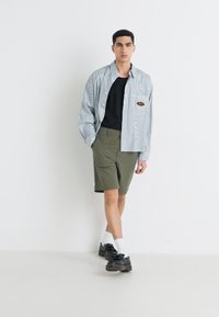 Chemise à rayures bleue et blanche, t-shirt noir en dessous, shorts verts olive et chaussures noires avec des chaussettes blanches.