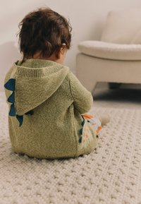 Next REGULAR FIT - Chaqueta de punto - green dinosaur