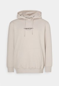 JORVESTERBRO HOOD - Pulover s kapuco - moonbeam