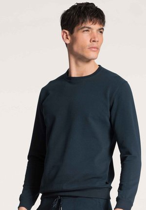 Dunkelblaues Rundhals-Sweatshirt mit langen Ärmeln, aus glattem Stoff gefertigt, mit gerippten Bündchen und Saum, minimalistischem Design ohne Muster.
