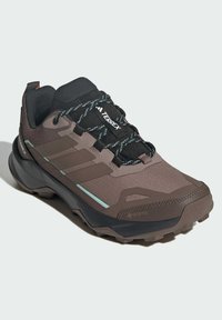 Smeđe i crne Adidas Terrex planinarske cipele s crnim i plavim vezicama, teksturiranom potplatom i Gore-Tex oznakom na prednjoj strani.
