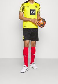 Puma Sports shorts - black