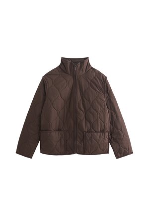 New Look, DARK  QUILTED HIGH NECK JACKET - Light jacket - dark brown