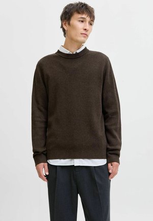 Junger Mann mit kurzem dunkelbraunem Haar trägt einen dunkelbraunen Pullover über einem weißen Kragenhemd und dunkelgrauen Hosen und steht vor einem schlichten hellen Hintergrund.