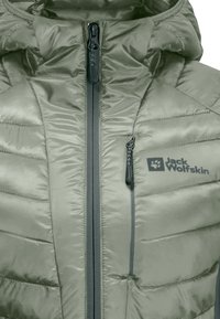Jack Wolfskin ROUTEBURN PRO - Giacca invernale - mint leaf