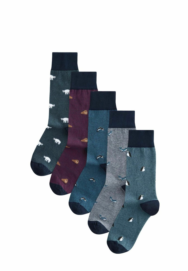Next 5 PACK REGULAR FIT - Socken - blue animal stripe