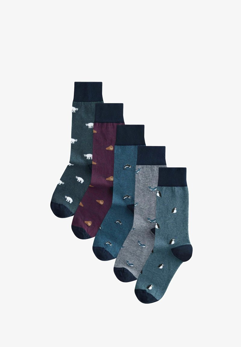 Next 5 PACK PATTERN REGULAR FIT - Sokken - blue animal stripe