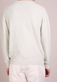 Hellgrauer Pullover, gestrickt, mit Rundhalsausschnitt, langen Ärmeln, geripptem Saum und Bündchen, mit einer glatten Textur ohne Muster oder Verzierungen.