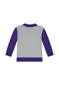 Pullover a maniche lunghe grigio e viola. Mix di cotone, colletto ribbed, polsini e orlo. Design semplice con maniche a contrasto.