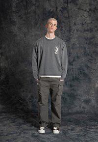 Replay Inc. UNISEX - Långärmad tröja - stoned grey