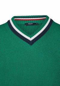 Grüner gestrickter Pullover mit V-Ausschnitt. Mit einem gestreiften Kragen in Marineblau, Weiß und Rot. Herstellerlabel "HECHTER" sichtbar.