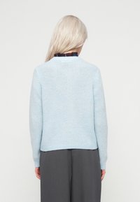 Osoba z długimi blond włosami, ubrana w jasnoniebieski sweter z dzianiny na ciemną koszulę z kołnierzykiem oraz szare spodnie, zwrócona plecami do widza.