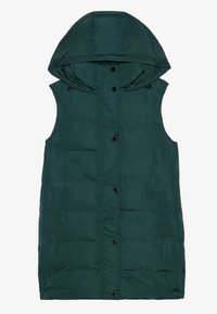 Non sélectionné, dark green